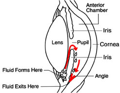 Glaucoma Treatment | Lawrenceville | Hopewell | Hamilton